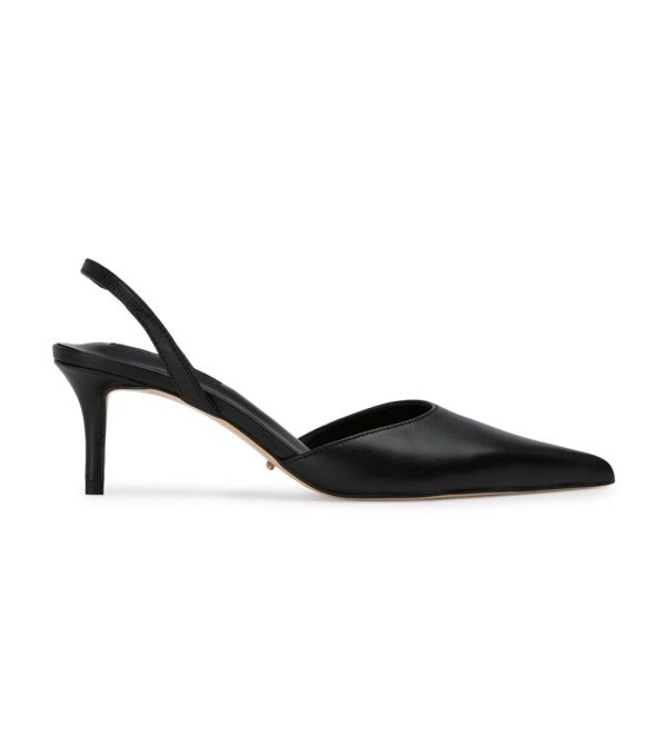 Paceandpath.shop0a4b90adf0 1