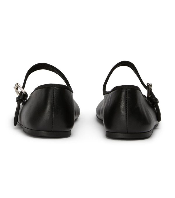 Paceandpath.shop0f12a3b383 5