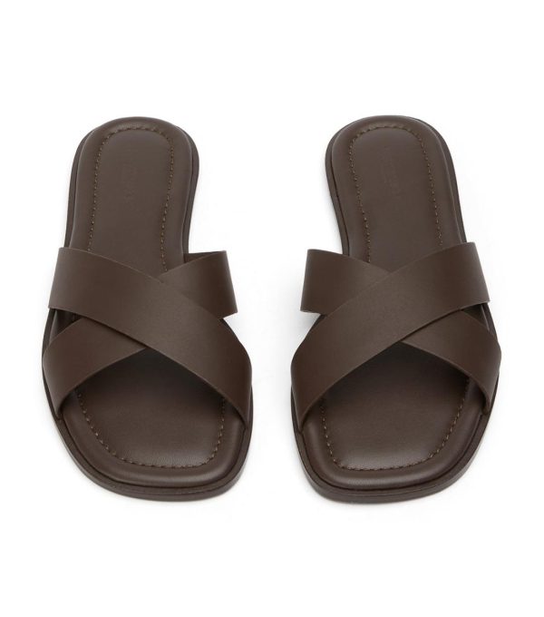 Paceandpath.shop22eb3fb227 2