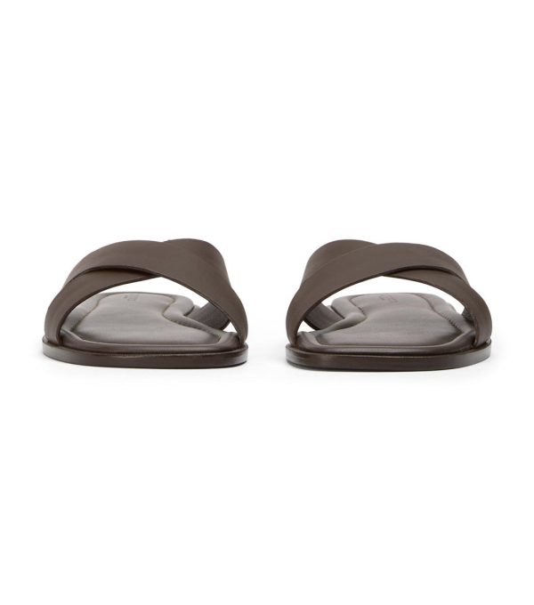 Paceandpath.shop22eb3fb227 3