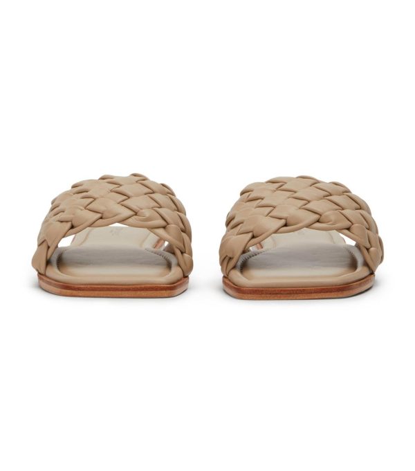 Paceandpath.shop23611615a0 4