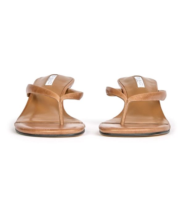 Paceandpath.shop251258cbae 3