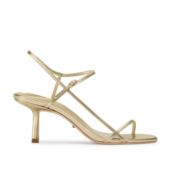 Paceandpath.shop2e4a4a9f70 1