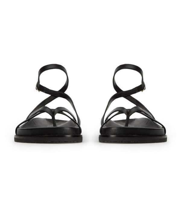 Paceandpath.shop38d767e36e 4