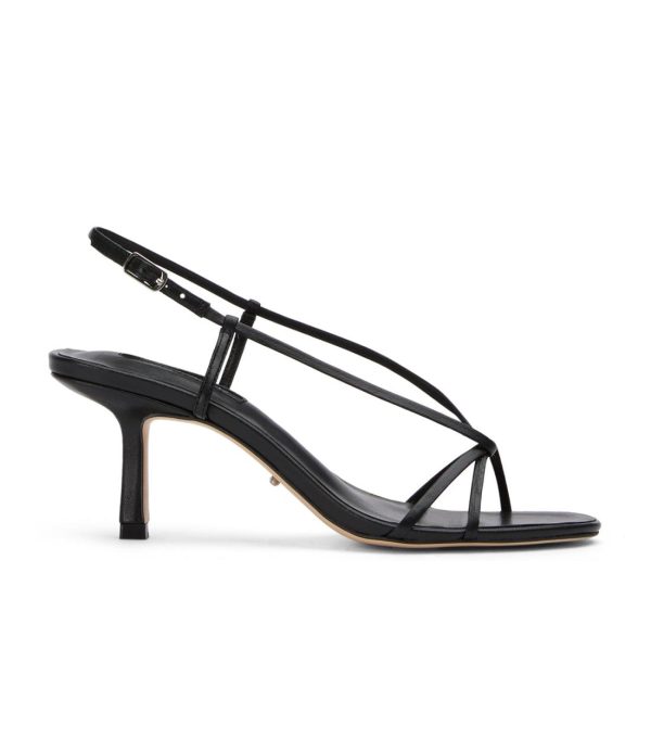 Paceandpath.shop463ab64ffc 1