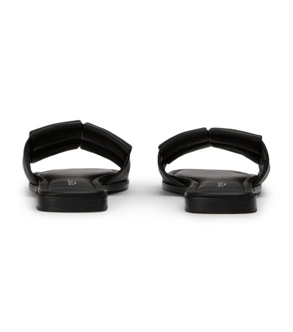 Paceandpath.shop46715e9a28 5