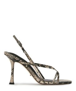 Paceandpath.shop52910d8cb1 1