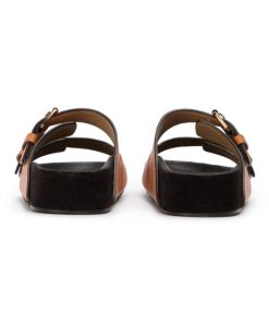 Paceandpath.shop59ab3cce83 5