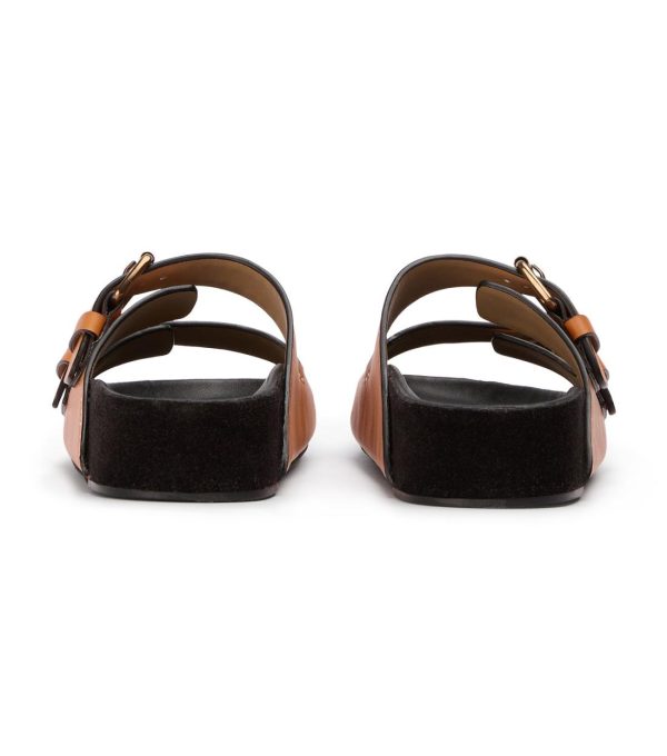 Paceandpath.shop59ab3cce83 5