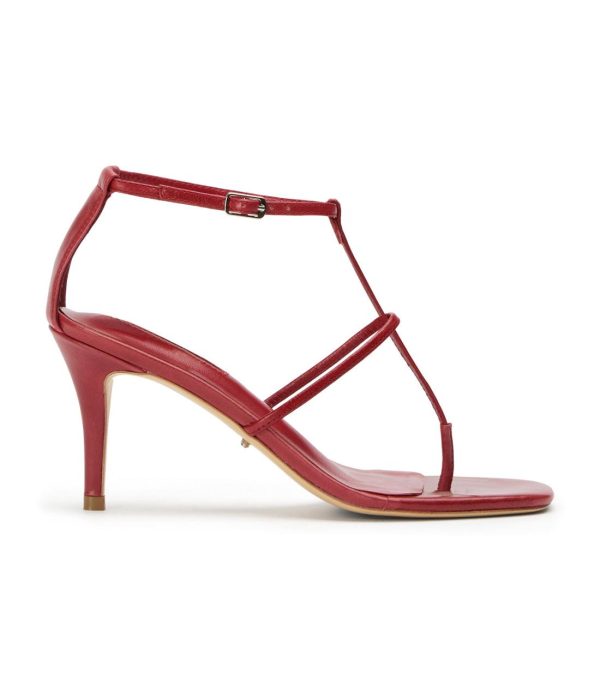 Paceandpath.shop6b1b6f2a7b 1