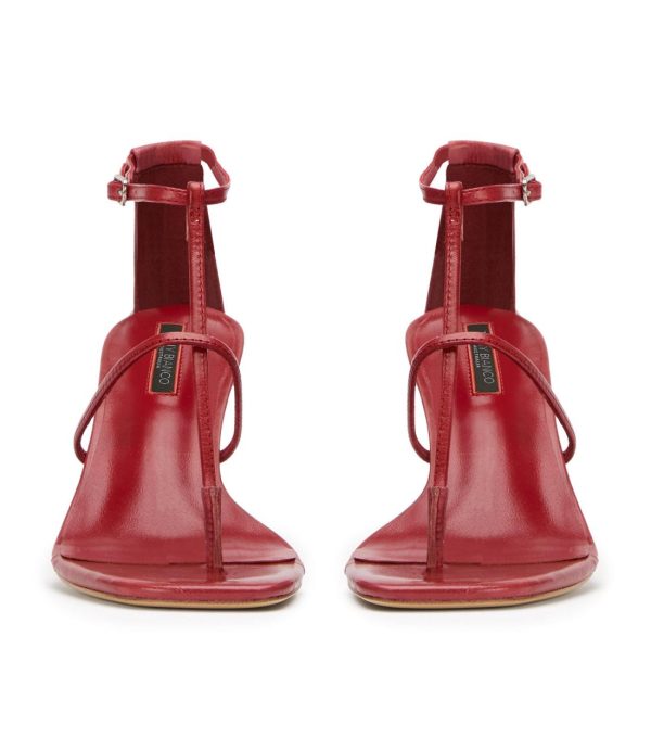 Paceandpath.shop6b1b6f2a7b 3