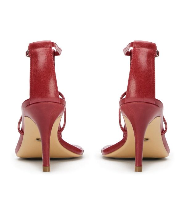 Paceandpath.shop6b1b6f2a7b 4