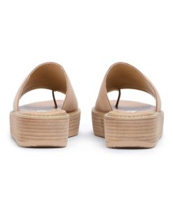 Paceandpath.shop6e4f3f0cb9 5