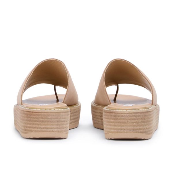 Paceandpath.shop6e4f3f0cb9 5