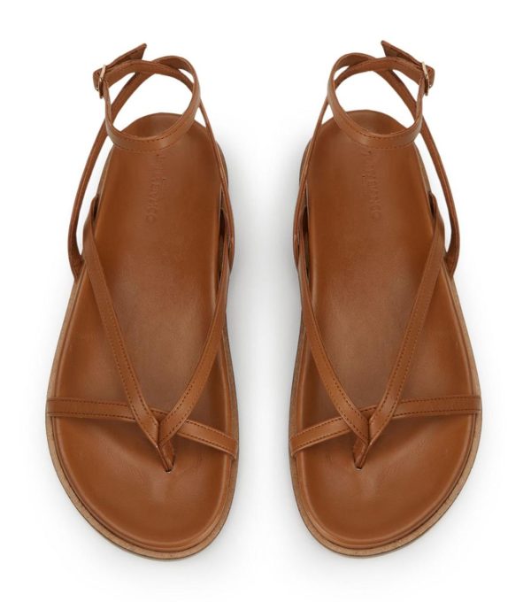 Paceandpath.shop72cd98bad8 1