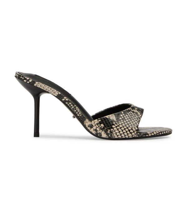 Paceandpath.shop7328d9a6a4 1