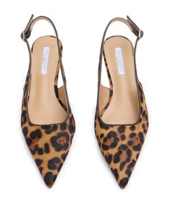 Paceandpath.shop7b4a8c0cc3 3