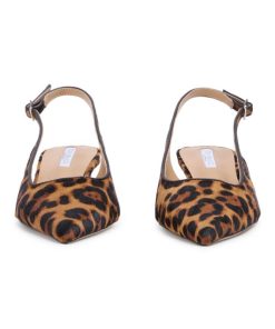 Paceandpath.shop7b4a8c0cc3 5