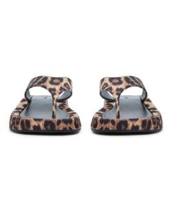 Paceandpath.shop7bb2f85665 3