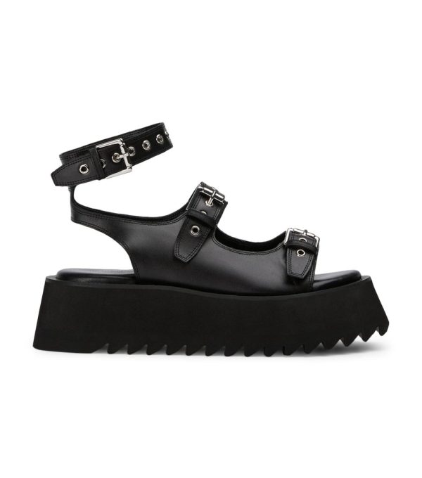 Paceandpath.shop7e9ac77fab 1