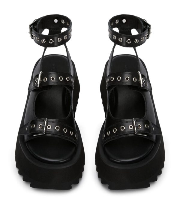 Paceandpath.shop7e9ac77fab 3