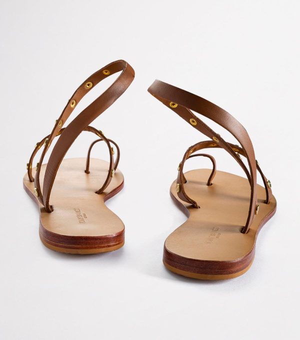 Paceandpath.shop7f79c60ca2 5