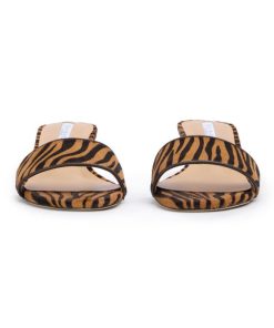 Paceandpath.shop83f95291e8 3