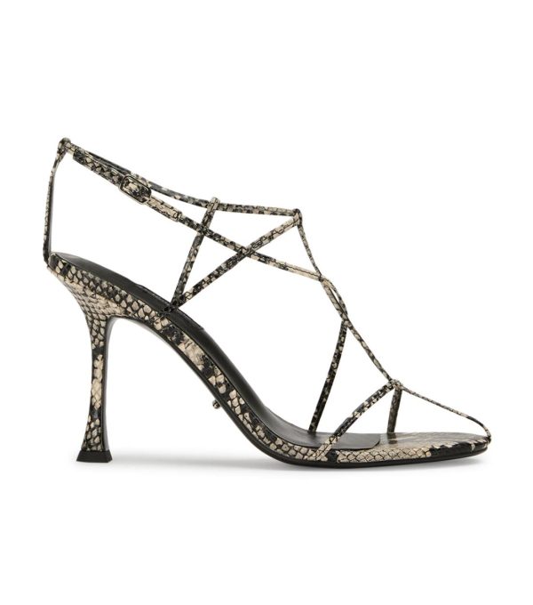 Paceandpath.shop8673fbb8ff 1