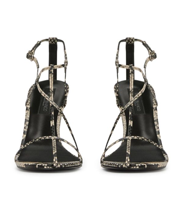 Paceandpath.shop8673fbb8ff 3