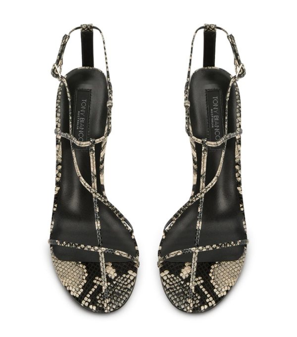 Paceandpath.shop8673fbb8ff 4