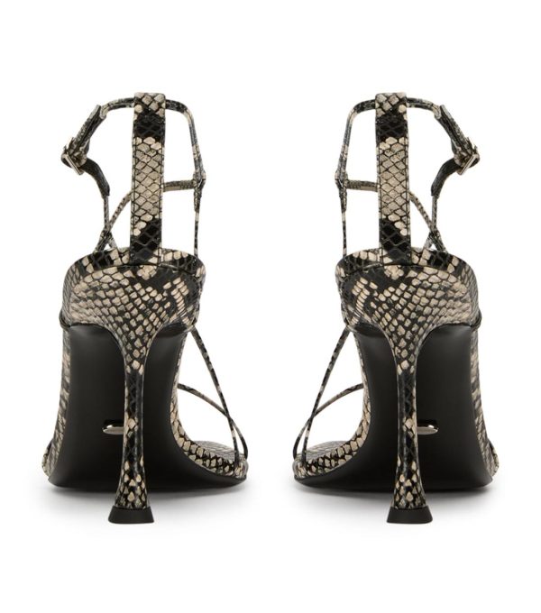 Paceandpath.shop8673fbb8ff 5