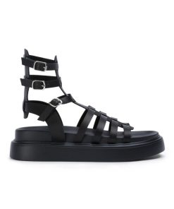 Paceandpath.shop87de84c393 1