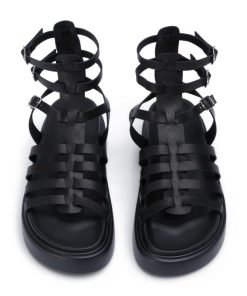 Paceandpath.shop87de84c393 3