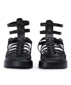 Paceandpath.shop87de84c393 4