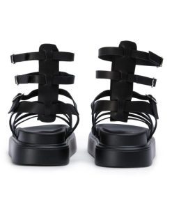 Paceandpath.shop87de84c393 5