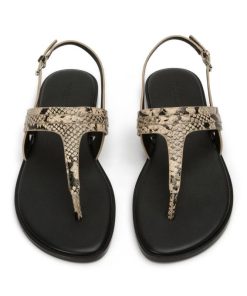 Paceandpath.shop995d41df7c 3