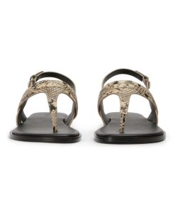 Paceandpath.shop995d41df7c 4