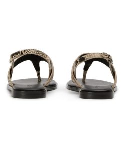 Paceandpath.shop995d41df7c 5