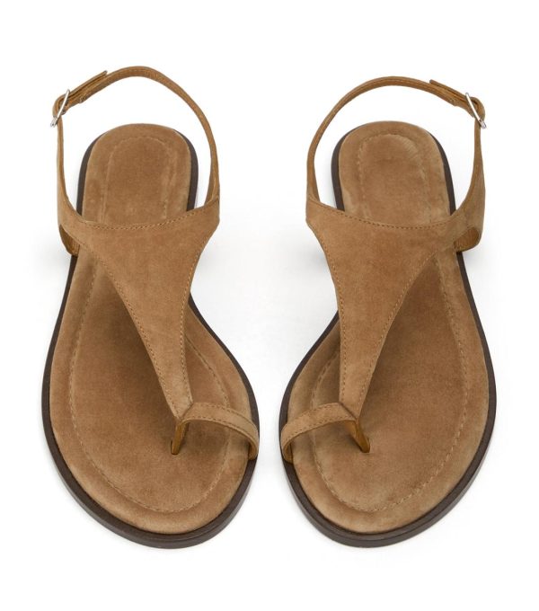 Paceandpath.shop9a5f7aed2a 2