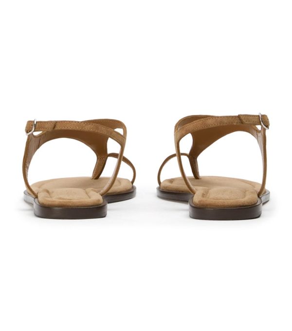 Paceandpath.shop9a5f7aed2a 4