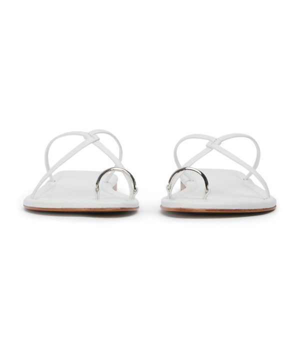 Paceandpath.shopbf59836d14 4