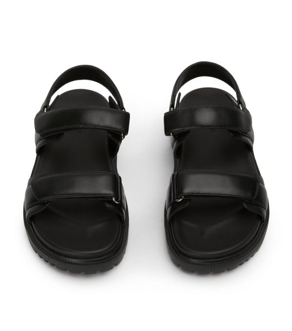 Paceandpath.shopc386666272 3