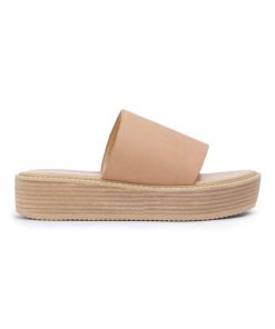 Paceandpath.shope9b3d12e71 1